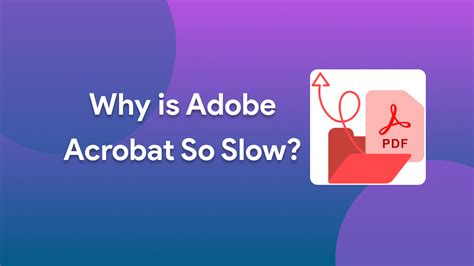 why is adobe acrobat so large|Why is Adobe Acrobat DC taking up over 14 gigs of storage .